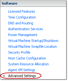 VMware ESXi5 Host - Software - Advanced Settings