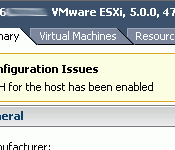 VMware ESXi5 ssh for the host has been enabled